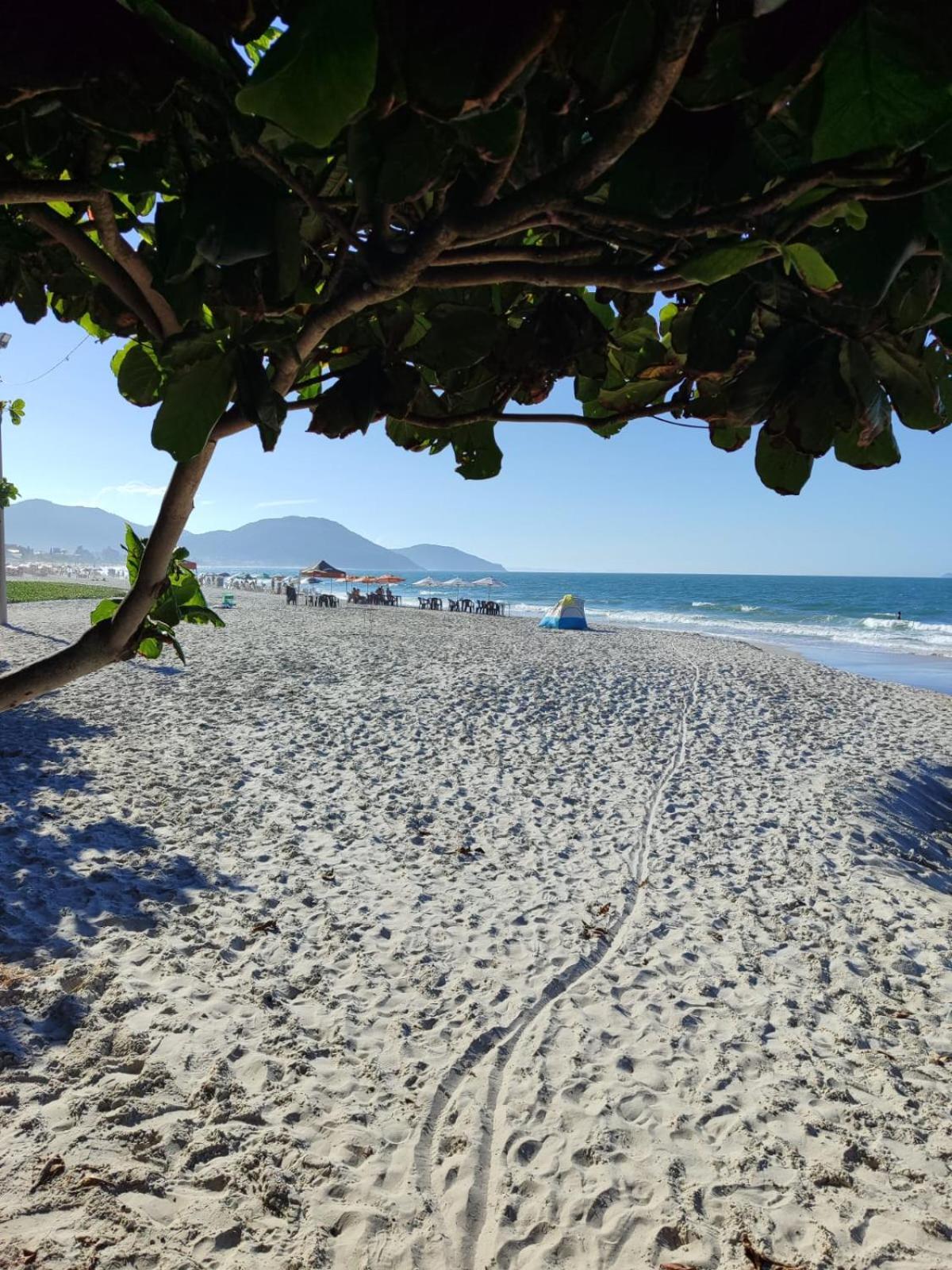 Apartamento De 2 Dormitorios Florianópolis المظهر الخارجي الصورة
